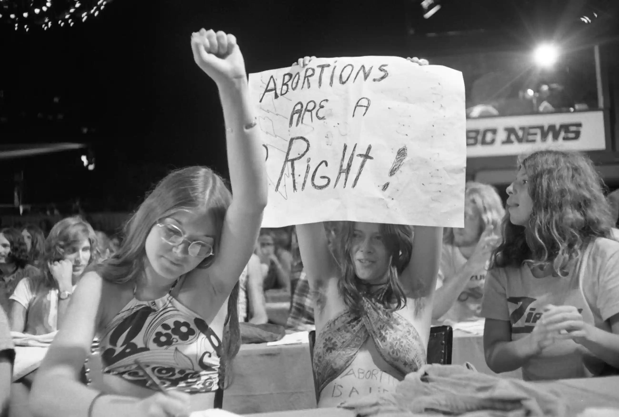 Protesters at a Republican party hearing